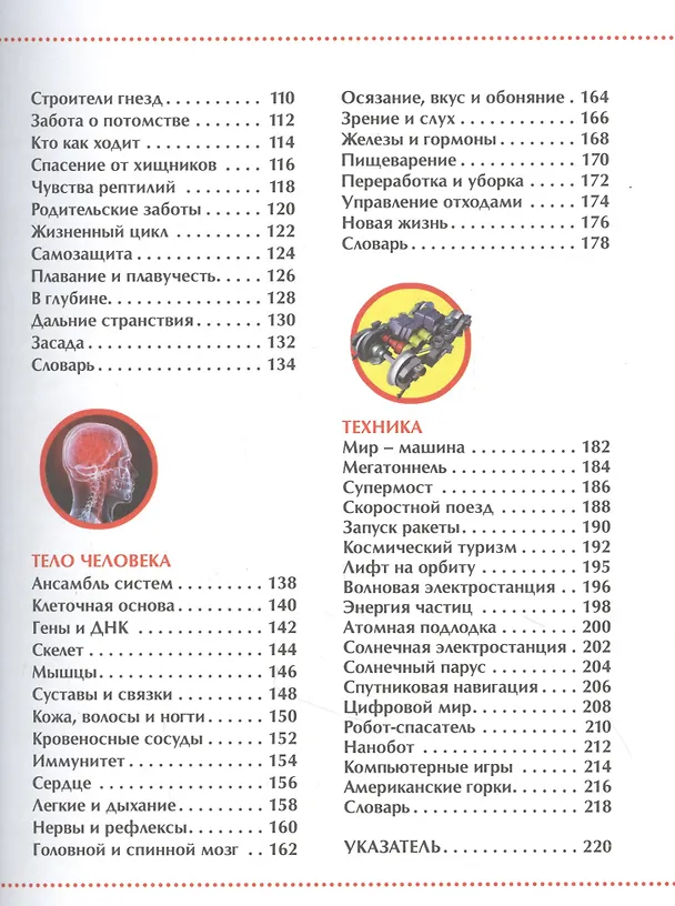 Книга Детская иллюстрированная энциклопедия (Дэвид Берни) — 3
