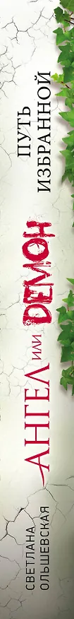 Книга Путь Избранной: роман (Светлана Ольшевская) — 3