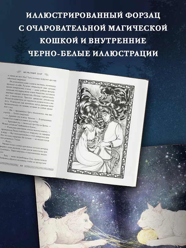 Книга Шелковый дар (Ника Лемад) — 6