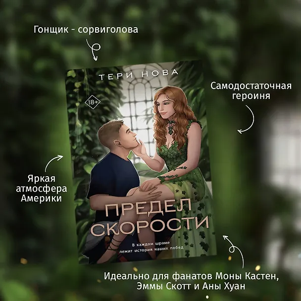 Книга Предел скорости (Тери Нова) — 10