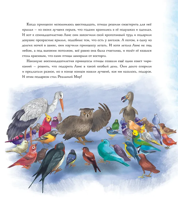 Книга Чик и Чирик (Вероника Шмидт, Анн-Катрин Шмидт) — 5
