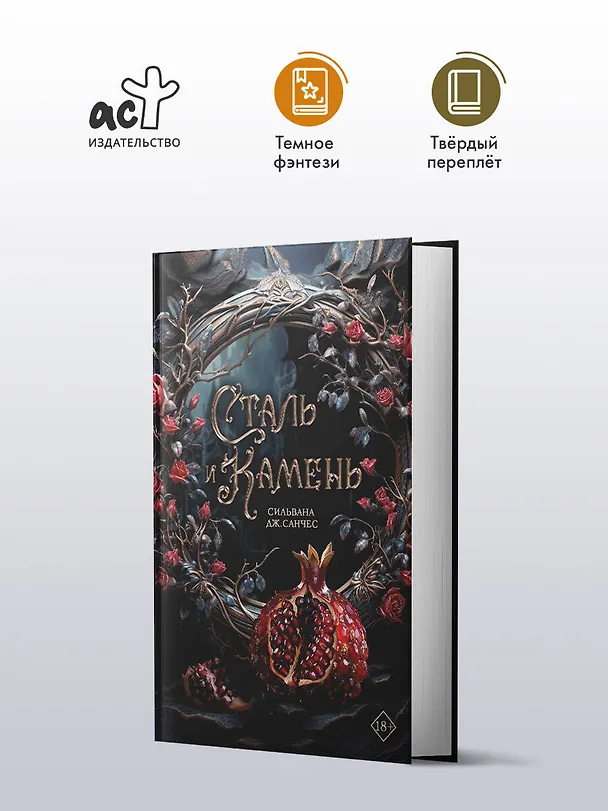 Книга Сталь и камень (Сильвана Дж. Санчес) — 4
