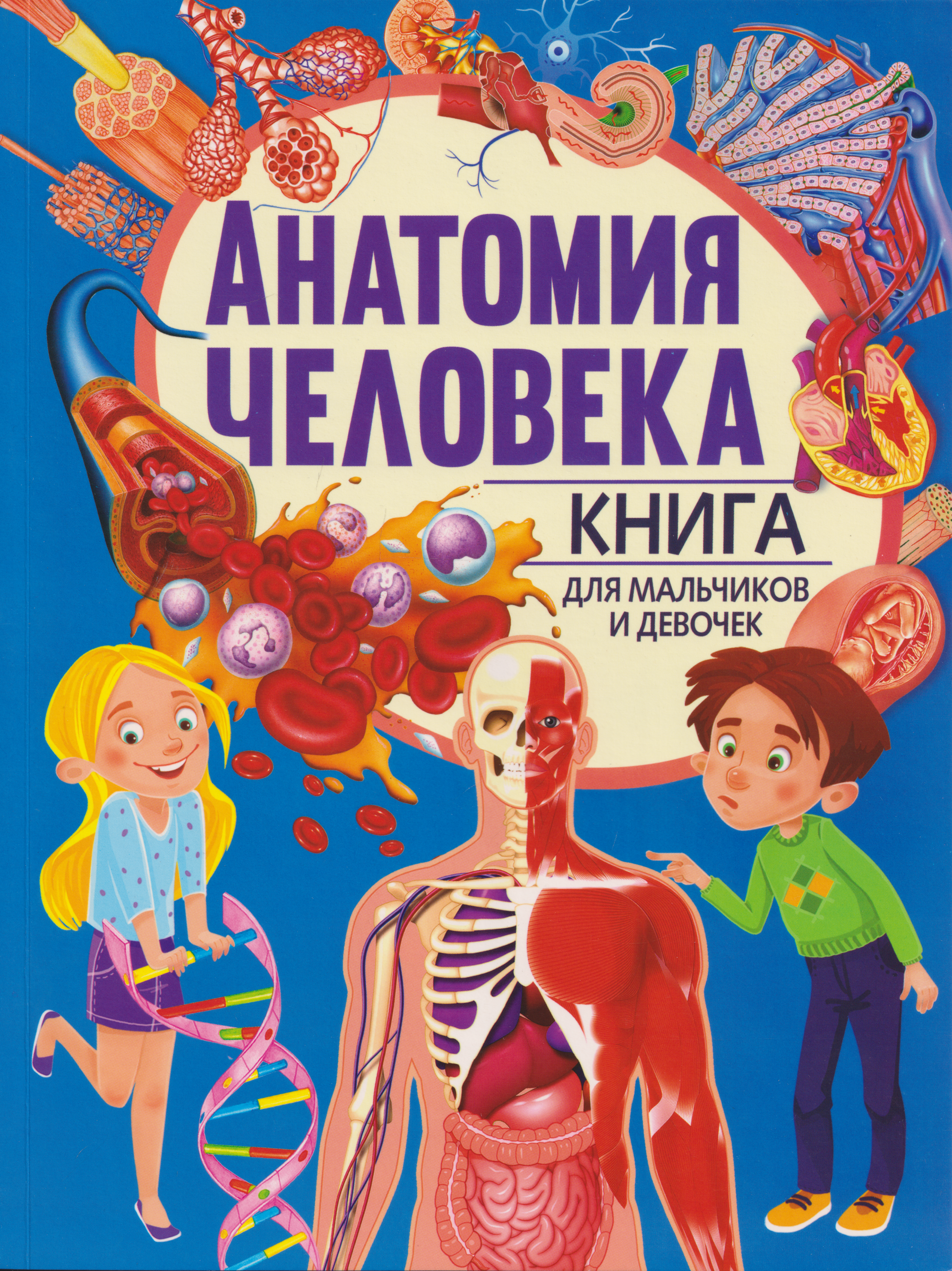 Обложка книги «Анатомия человека. Книга для мальчиков и девочек»