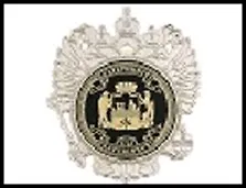ГС магнит герб РФ пластик Екатеринбург Герб города 8*9 см 455877, шт 2322854