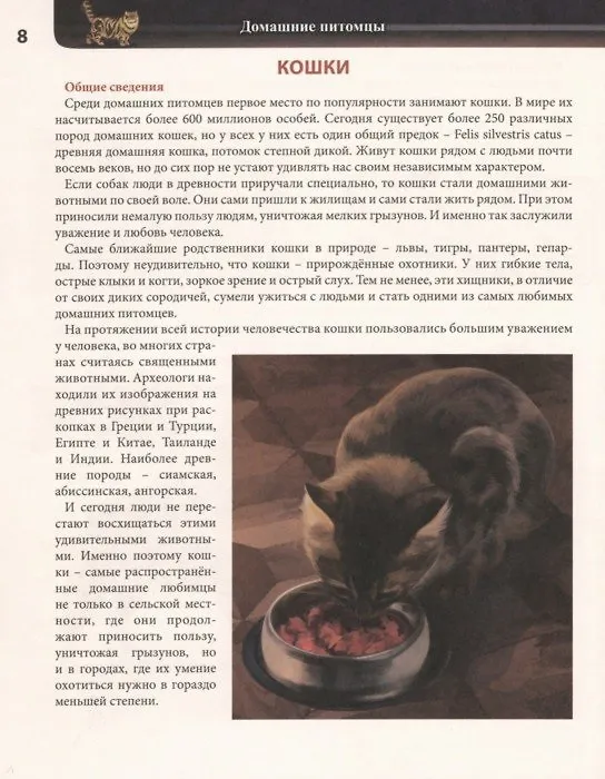 Книга Домашние питомцы. Энциклопедия (Леся Калугина) — 2