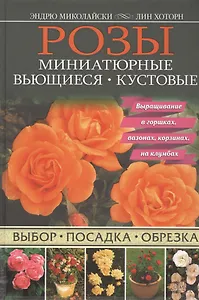 Розы. Миниатюрные. Вьющиеся. Кустовые