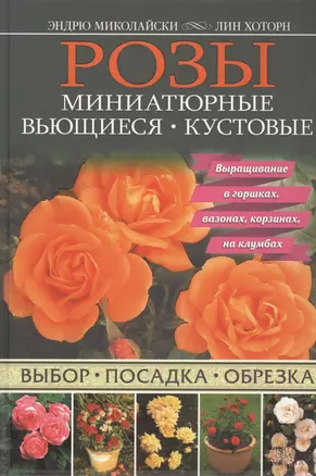 Розы. Миниатюрные. Вьющиеся. Кустовые — 2462453 — 1