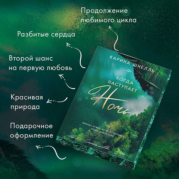 Книга Когда наступает ночь (Карина Шнелль) — 8