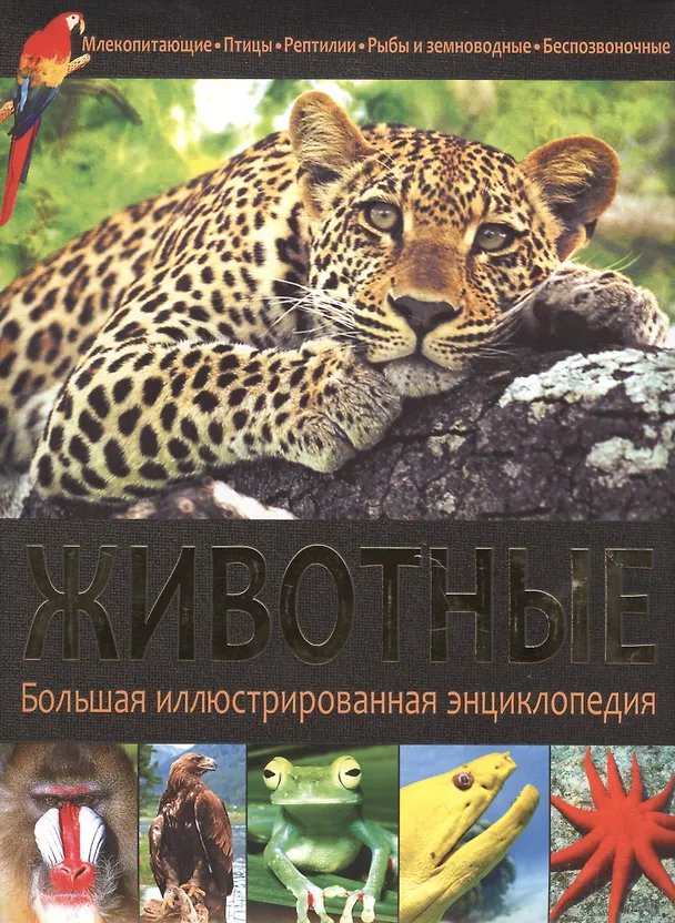 Книга Животные () — 1