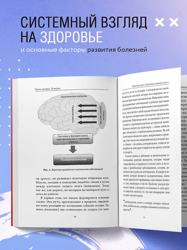 Книга Внутри болезни. Целостный подход к лечению хронических заболеваний: от психосоматики до доказательной медицины (Дениз Шимшек) — 6