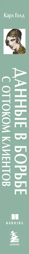 Книга Данные в борьбе с оттоком клиентов. Аналитика, dataset, метрики и сегментация (Карл Голд) — 5