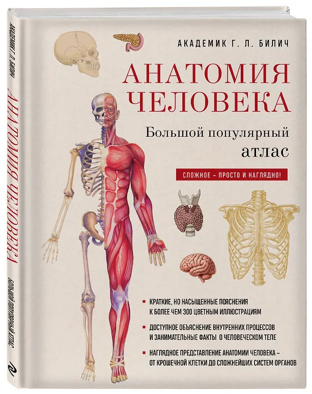Книга Анатомия человека: большой популярный атлас (новое оформление) (Габриэль Билич) — 4