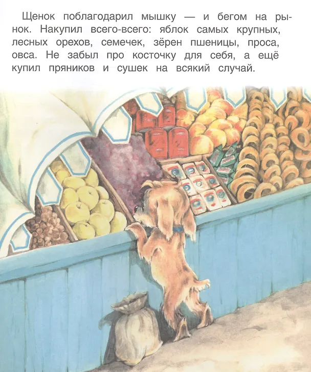 Книга Прошкин сад (В. Жиромская) — 5