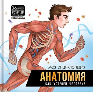 Книга Моя энциклопедия. Анатомия. Как устроен человек? ()