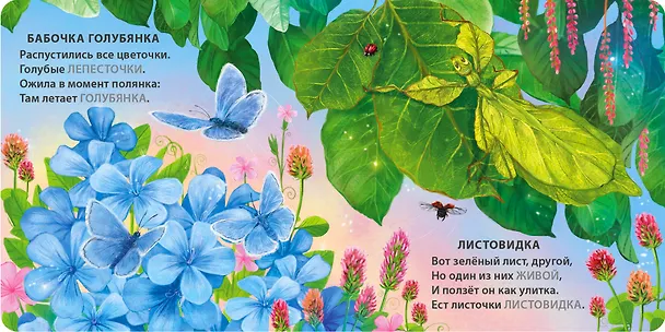 Книга Животные - невидимки. Загадки-рифмы (Евгений Сосновский) — 7