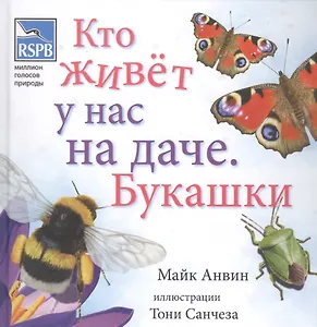 Кто живет у нас на даче. Букашки