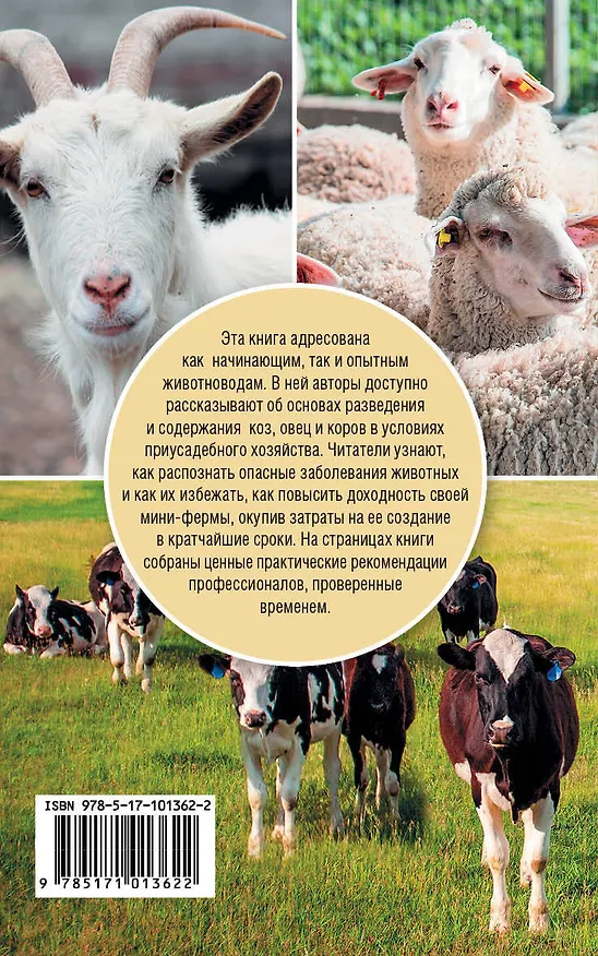 Книга Козы. Овцы. Коровы (Константин Голубев) — 2