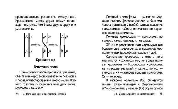 Книга Биология. 5-11 классы. Карманный справочник для подготовки к ЕГЭ, ОГЭ и ВПР (Татьяна Никитинская) — 12