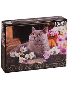 Пазл Königspuzzle 1000 эл.68,5*48,5см. Британский кот ГИК1000-6552