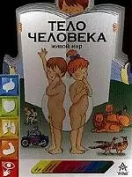 Тело человека — 2042866 — 1