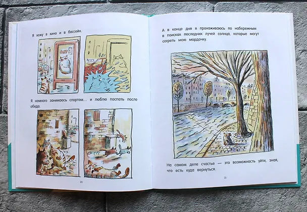 Книга Кот Пончик. Дом кота (Ронан Бадель) — 9