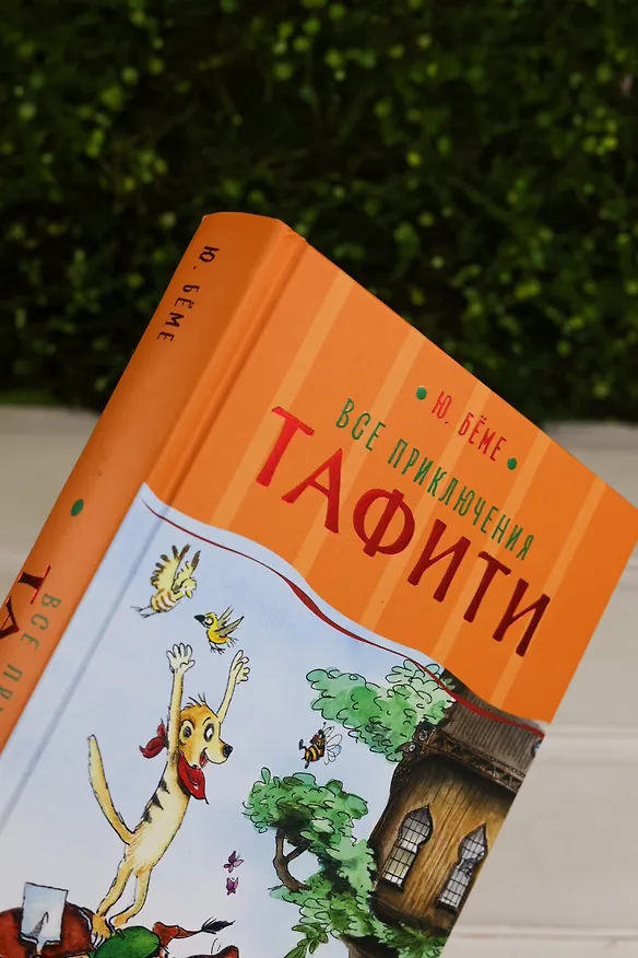 Книга Все приключения Тафити (Юлия Бёме) — 11