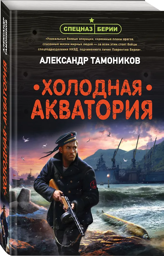 Книга Холодная акватория (Александр Тамоников) — 4