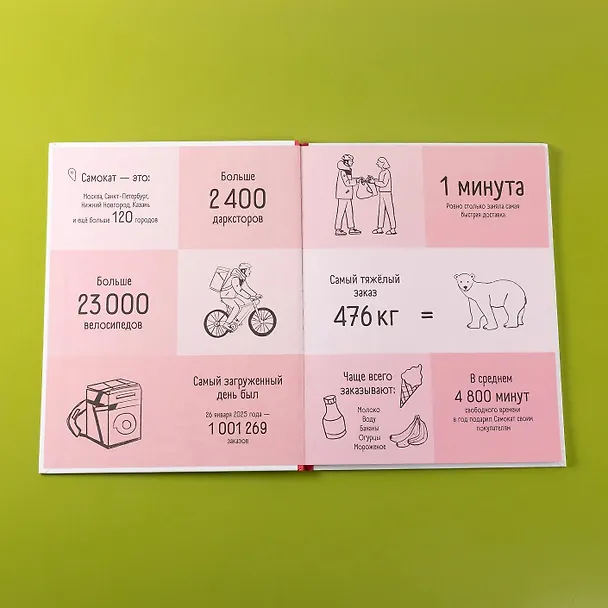 Книга Тайный мир даркстора. Раскройте его секреты с роботом Турби (Лана Богомаз) — 12