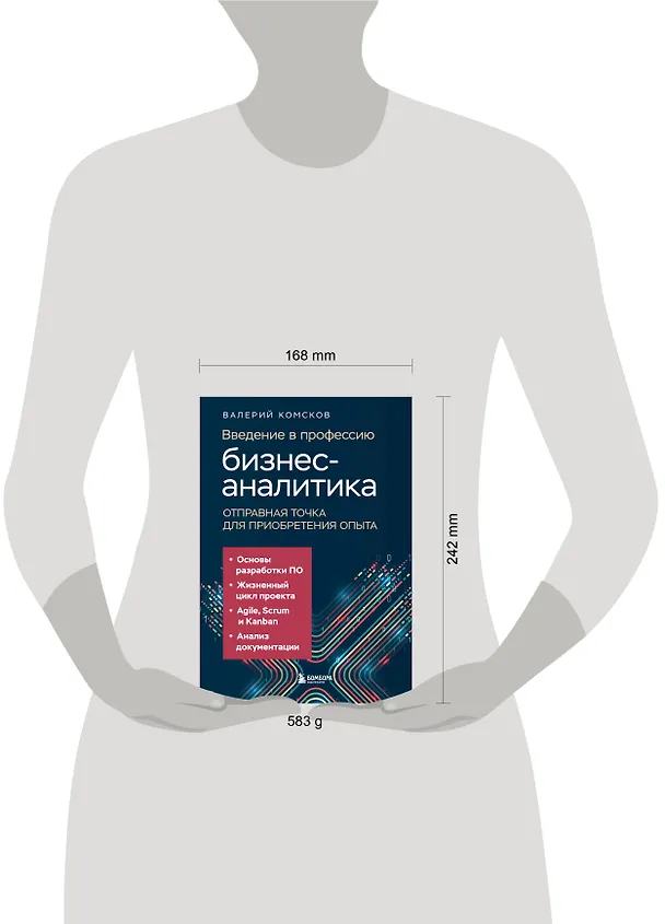 Книга Введение в профессию бизнес-аналитика. Отправная точка для приобретения опыта (Валерий Комсков) — 8