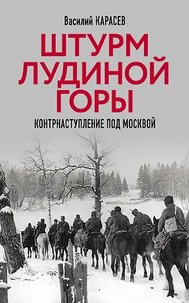 Книга Штурм Лудиной горы. Контрнаступление под Москвой (Василий Карасев)