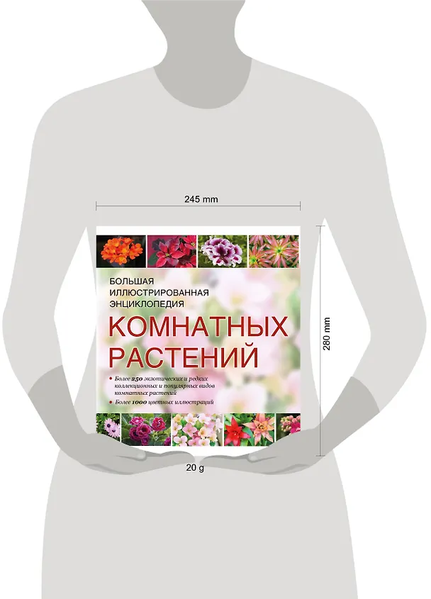 Книга Атлас комнатных растений (ISBN 978-5-17-053264-3 в суперобложке "Большая иллюстрированная энциклопедия комнатных растений") () — 4