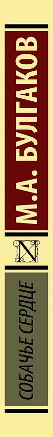 Книга Собачье сердце (Михаил Булгаков) — 4