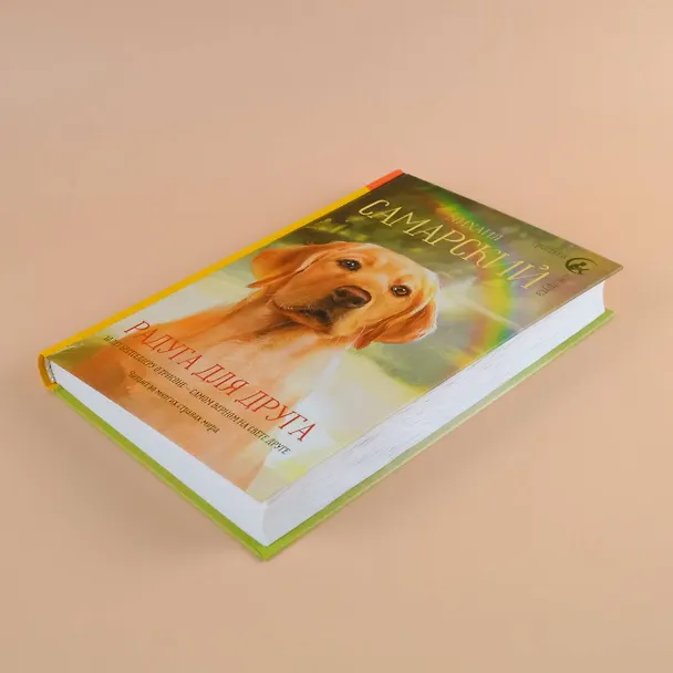 Книга Радуга для друга. Повесть (Михаил Самарский) — 7