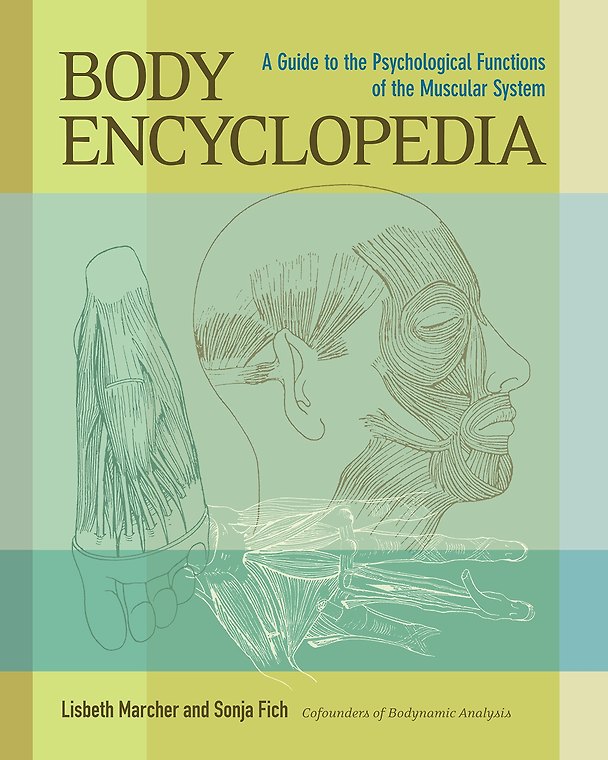 Книга Body Encyclopedia. A Guide to the Psychological Functions of the Muscular System () — 1
