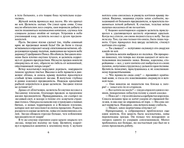 Книга Бушующая стихия (Эрин Хантер) — 3