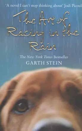 The Art of Racing in the Rain. A Novel — 2435229 — 1