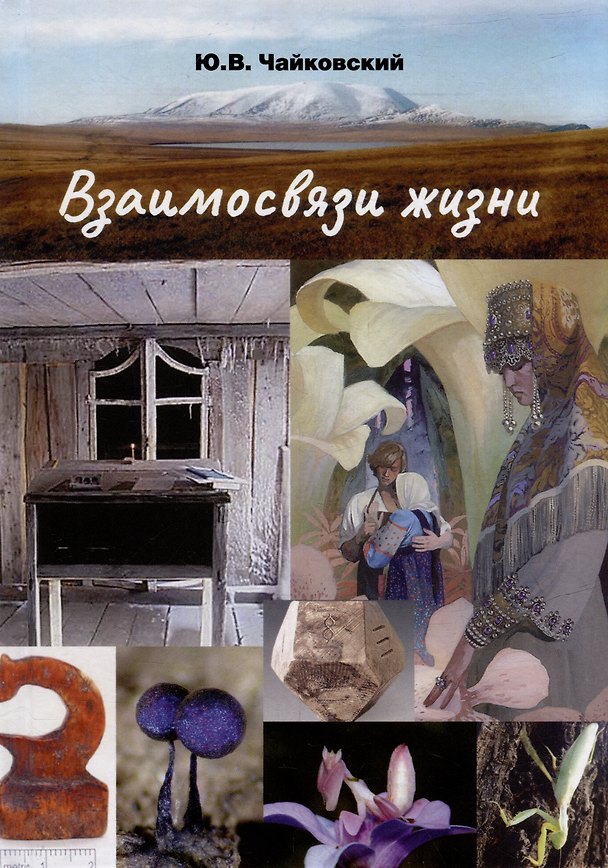 Книга Взаимосвязи жизни. Миниэнциклопедия дополняет. Том 2. Р–Я и добавочные сведения (Юрий Чайковский) — 1