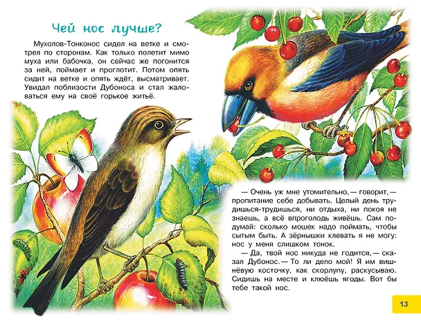 Книга Лесной Колобок - Колючий Бок (Виталий Бианки) — 13