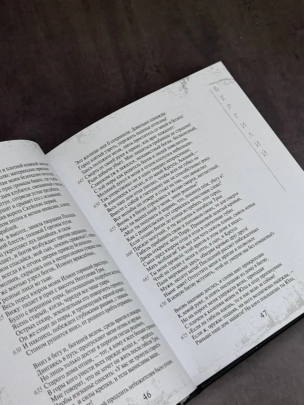 Книга Энеида (Марон Публий Вергилий) — 8
