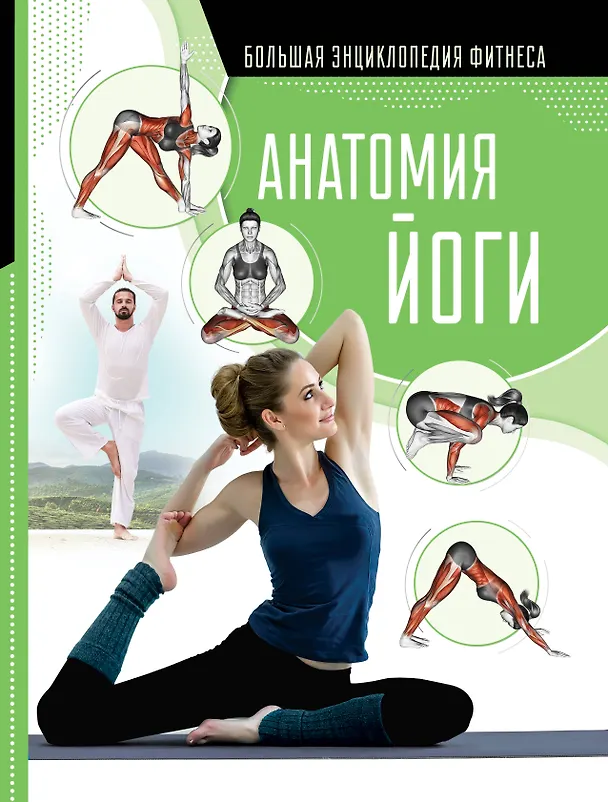 Книга Анатомия йоги (Наталья Степук) — 1