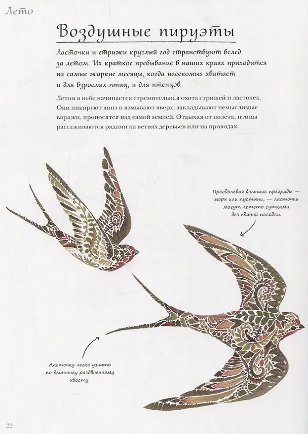 Книга Год в лесу (Хелен Апорнсири) — 4
