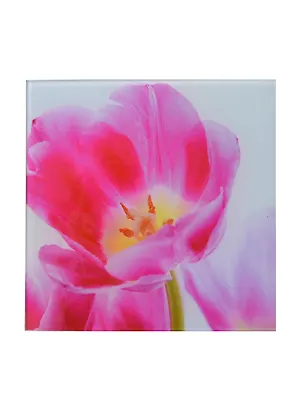 Картина стекло Розовый тюльпан (AG 20-05) (20х20) 2435663
