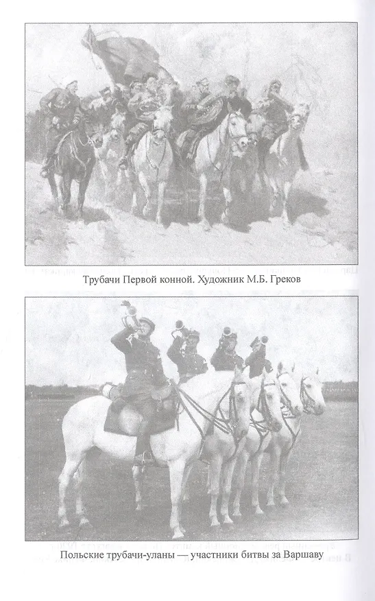 Книга 1920. Война с белополяками. Поход Красной армии на Вислу (Николай Какурин, Владимир Меликов) — 6