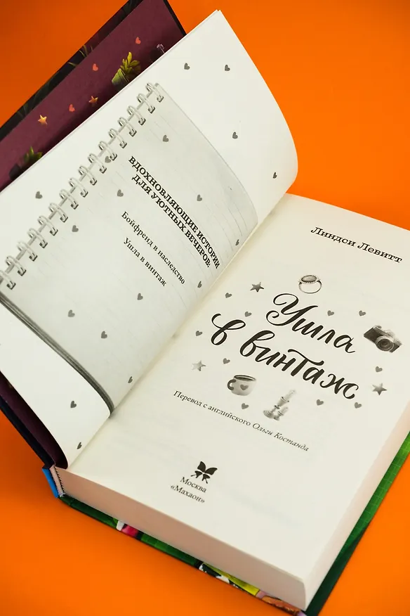 Книга Ушла в винтаж (Линдси Левитт) — 13