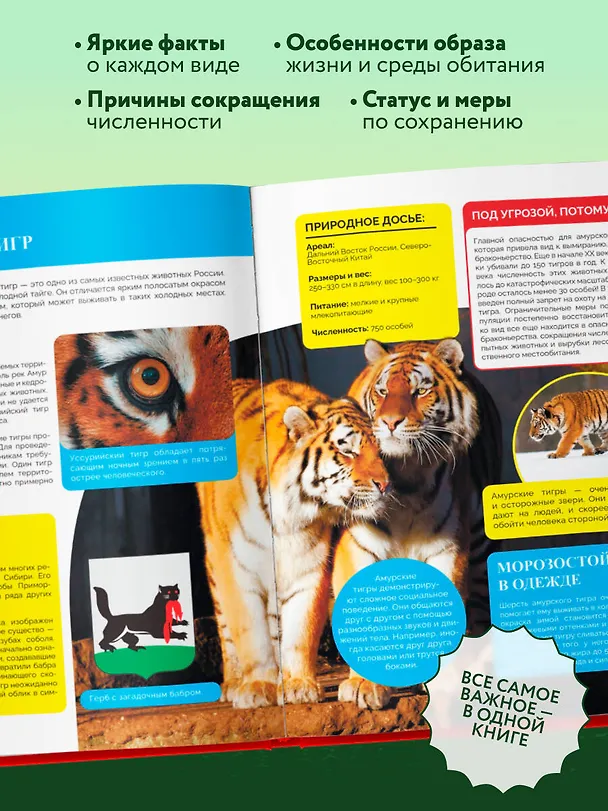 Книга Красная книга России. Большой формат. Более 500 уникальных иллюстраций и фактов (новое издание) (основной) (Юлия Добрыня) — 8