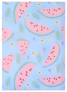 Папка 20ф А4 "Арбузные дольки"