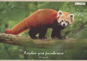 Альбом для рисования Listoff, "Красная панда", А4, 30 листов, на скрепке