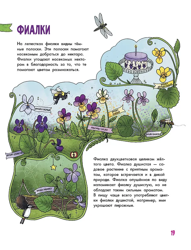 Книга Цветы и растения (Эмма Янссон) — 8