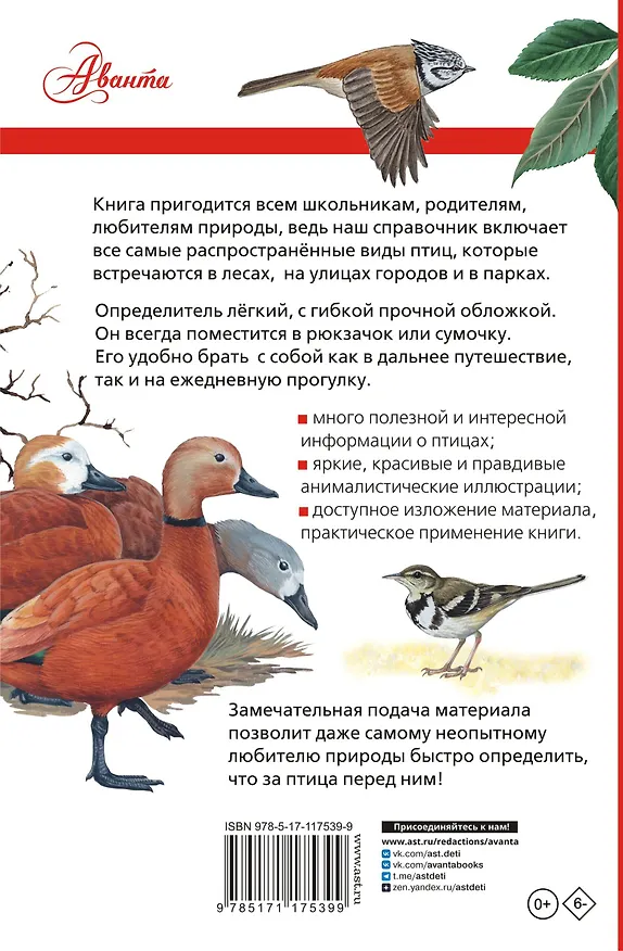 Книга Птицы России (Алексей Мосалов) — 2