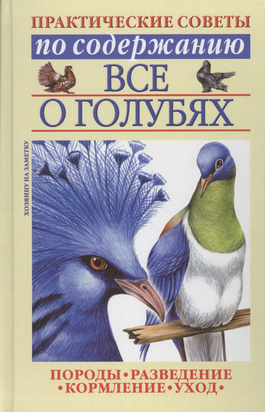 

Игрок